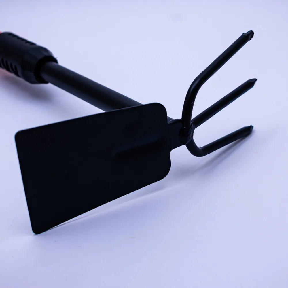 60029 (2).webp