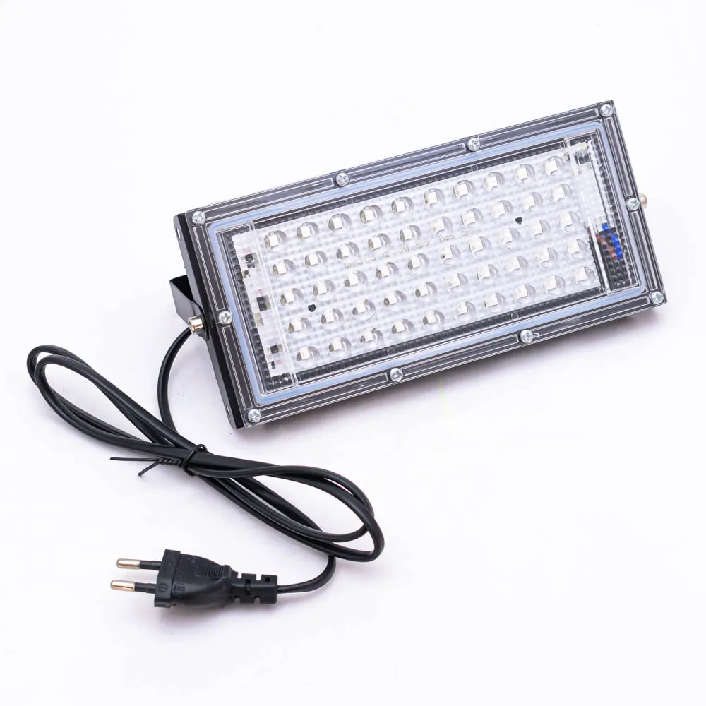 31725 (2).webp