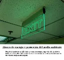 91313 (4).webp