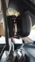 53676 (3).webp
