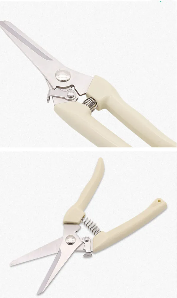 80447 (2).webp