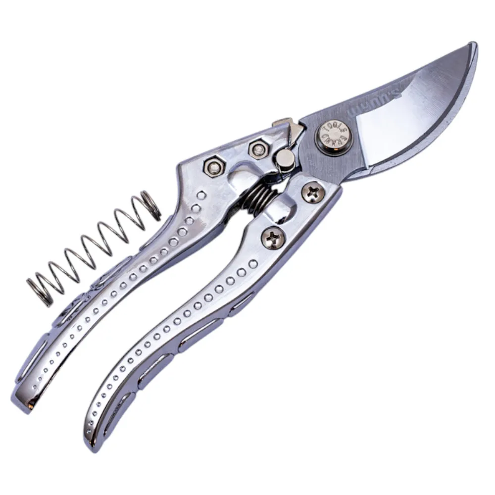 w4113 (2).webp