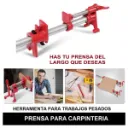 91851 (3).webp