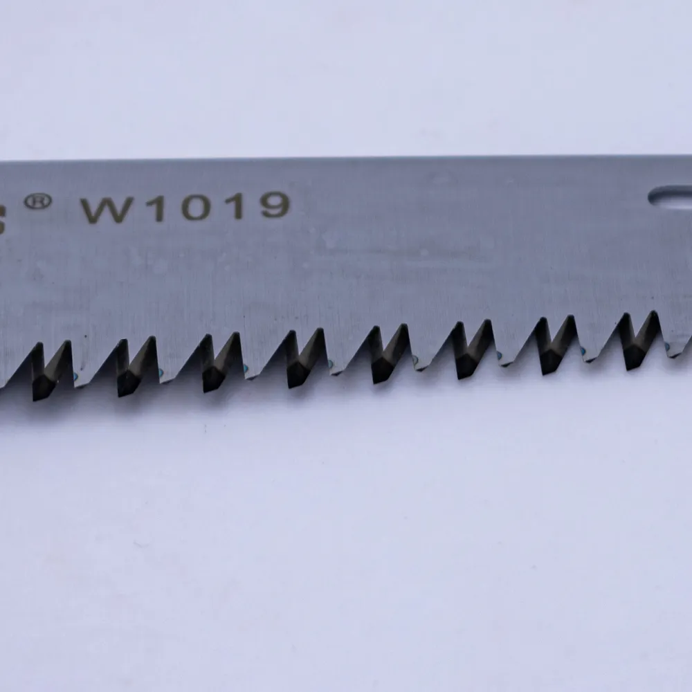 w1019 (3).webp