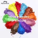 Pigmento Mica Powder 25G