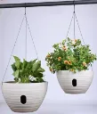 Plantera Colgante 25.2*13.5*14Cm