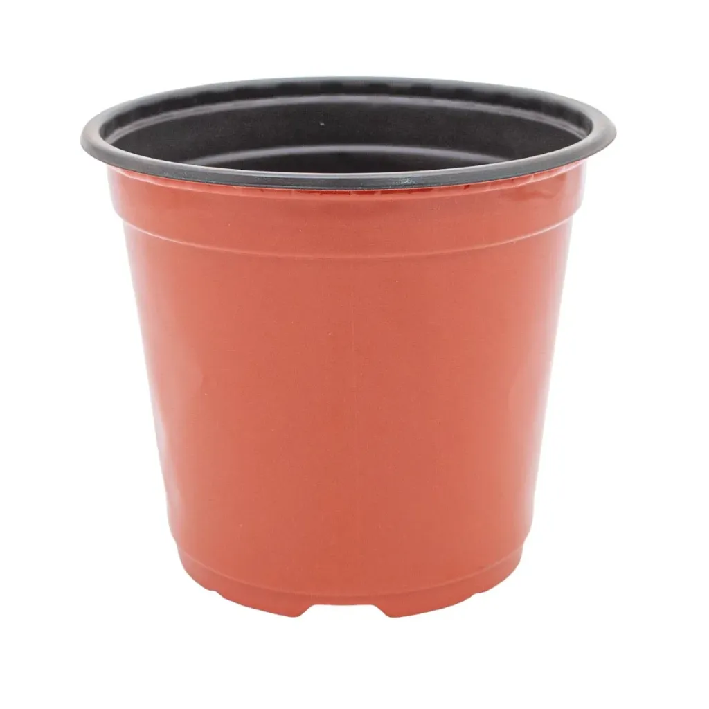 [92577] Plantera Marron Jl-150*135 Clase A