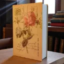 Caja de Seguridad Forma Libro 15.5*24cm